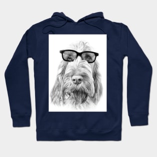 Intelligent friend Spinone by heidiannemorris Hoodie